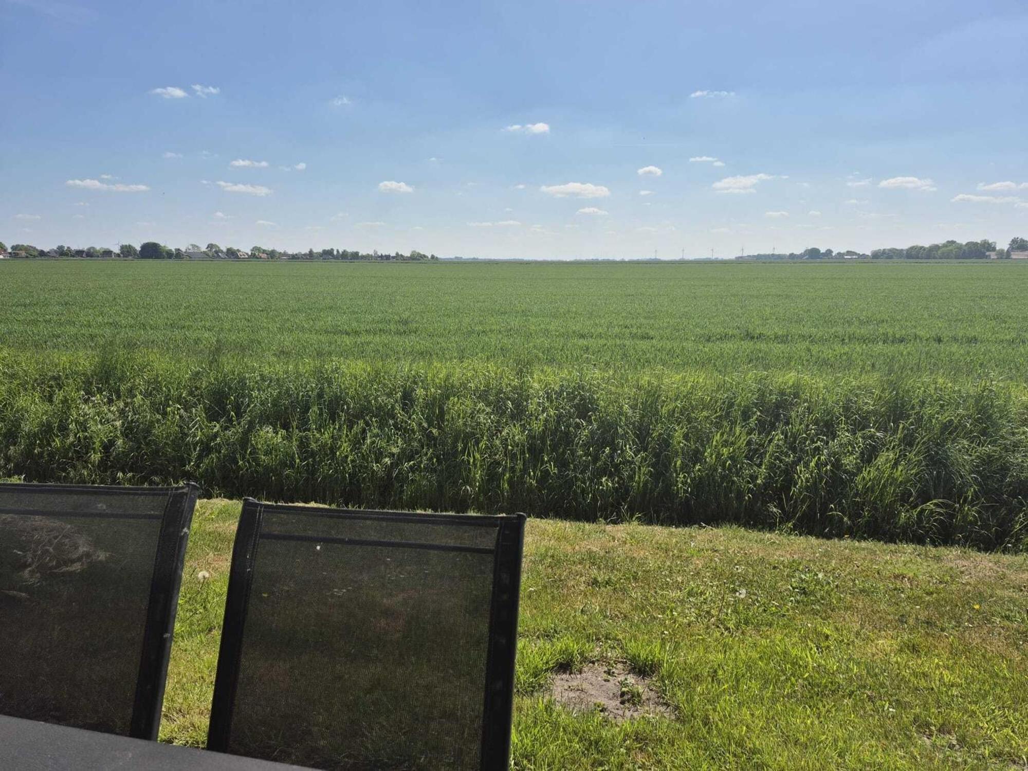 Ferienhaeuser Freiblick Ditzumerverlaat エクステリア 写真